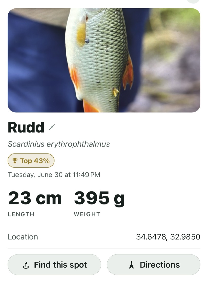 A logged catch card with species, score, size and spot